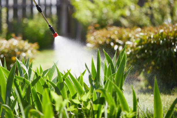 Tamper-Resistant Bait Stations for Rodents in Hernando