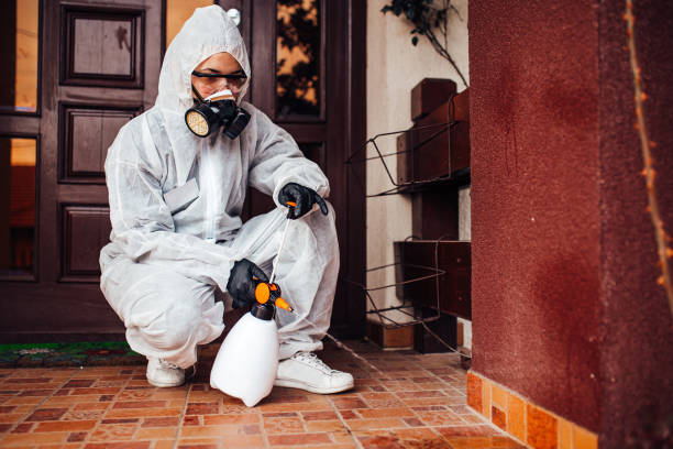 Attic and Crawl Space Rodent Treatment in Hernando